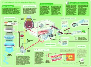 EVS KS-Mineralisierung