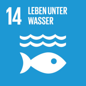 Logo mit stilisiertem Fisch unter zwei Wellen